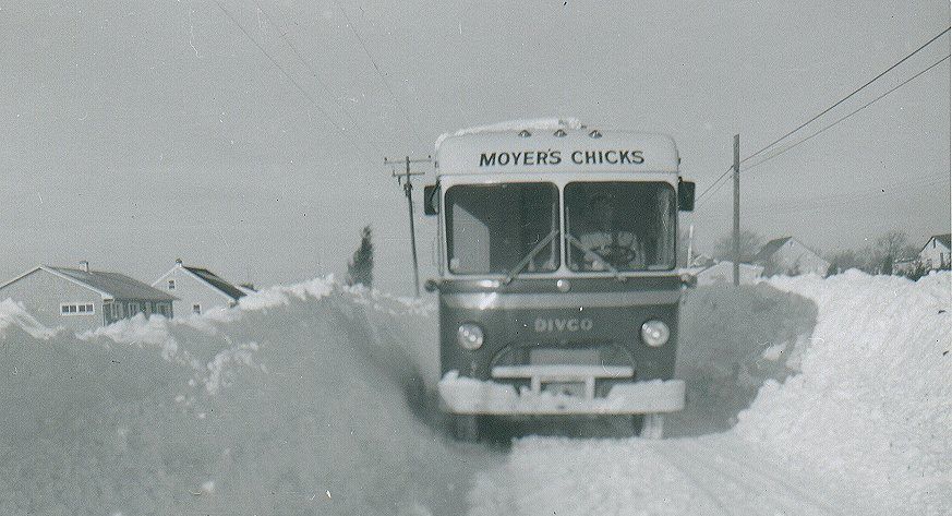 Photo of Moyer's Chicks Bus