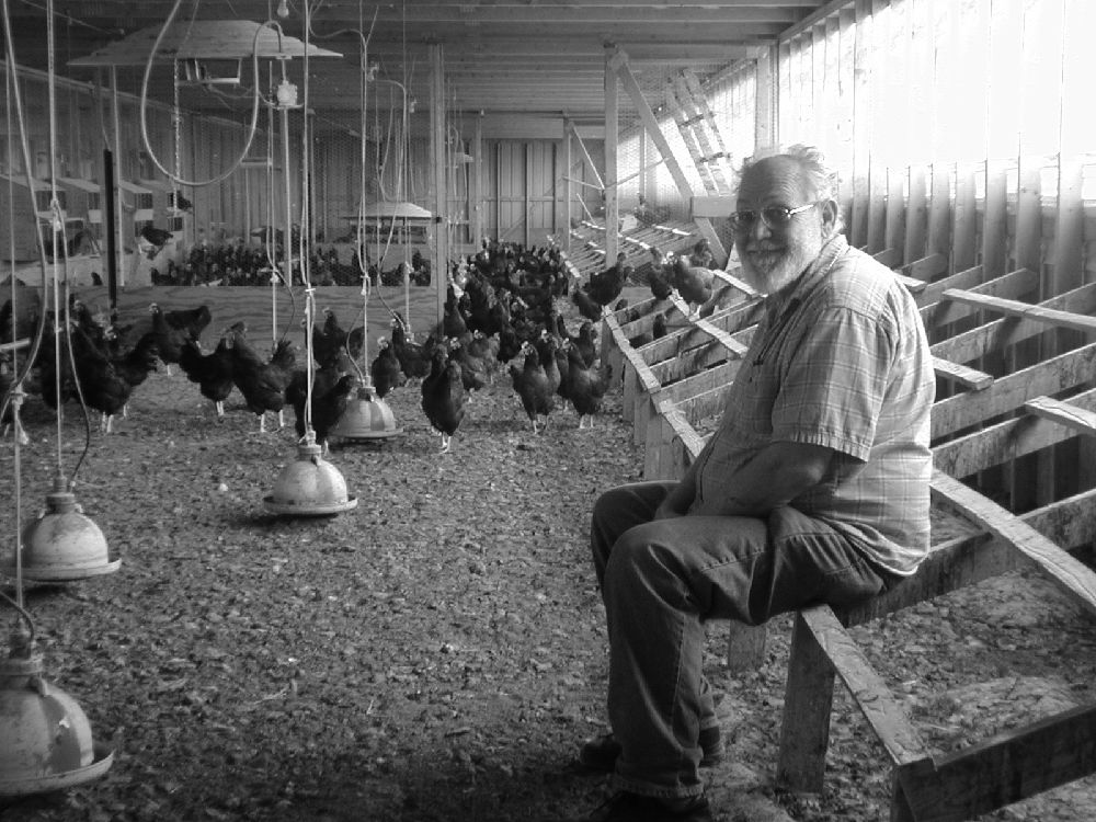 Jimmy Privett in a chicken barn